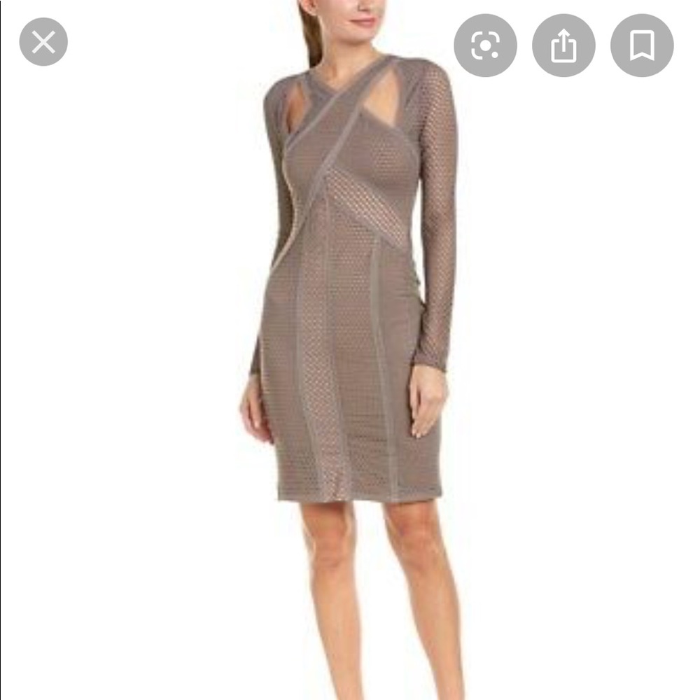 BCBG Mesh Long Sleeve Dress